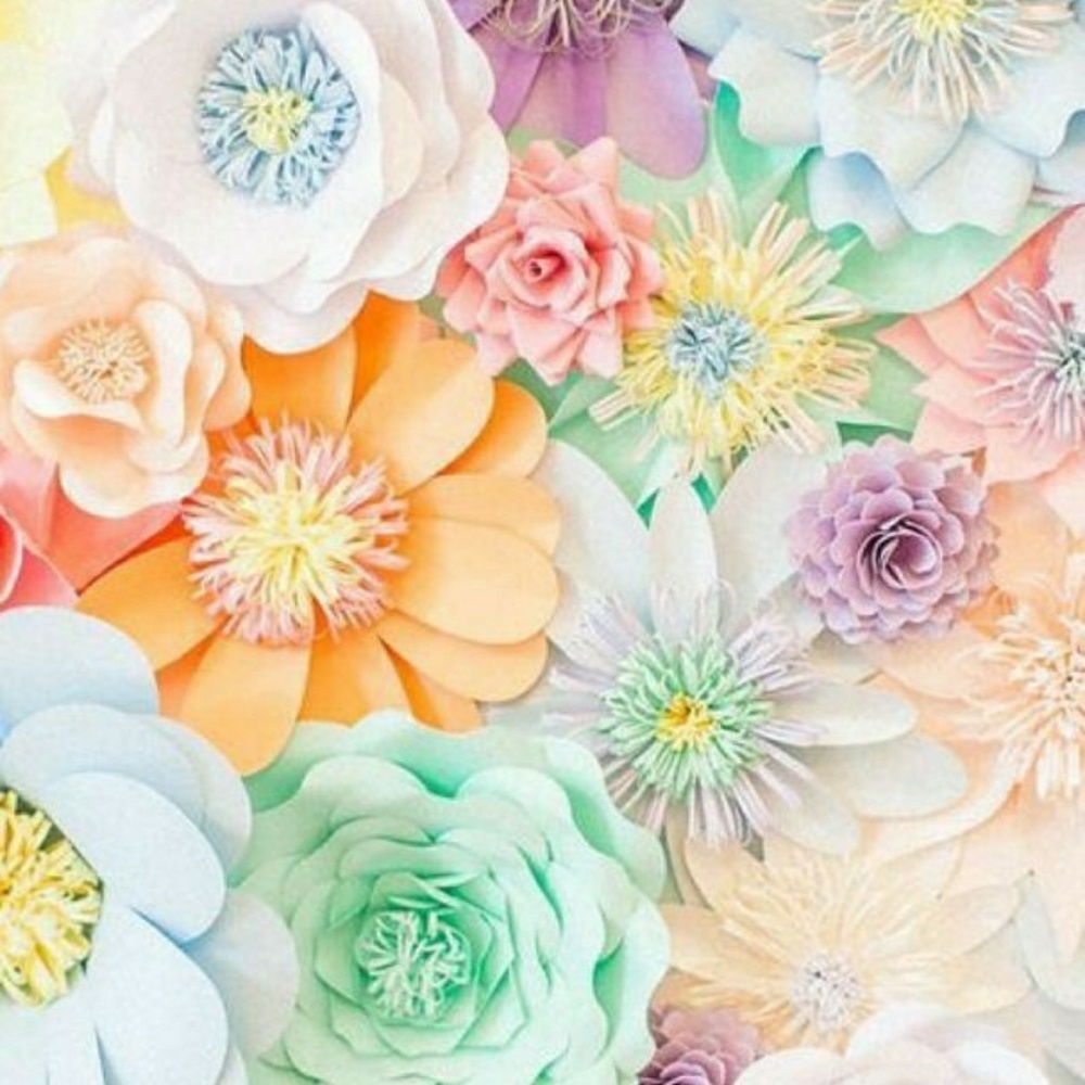 🌹     F.   Y.    I.,     🌹